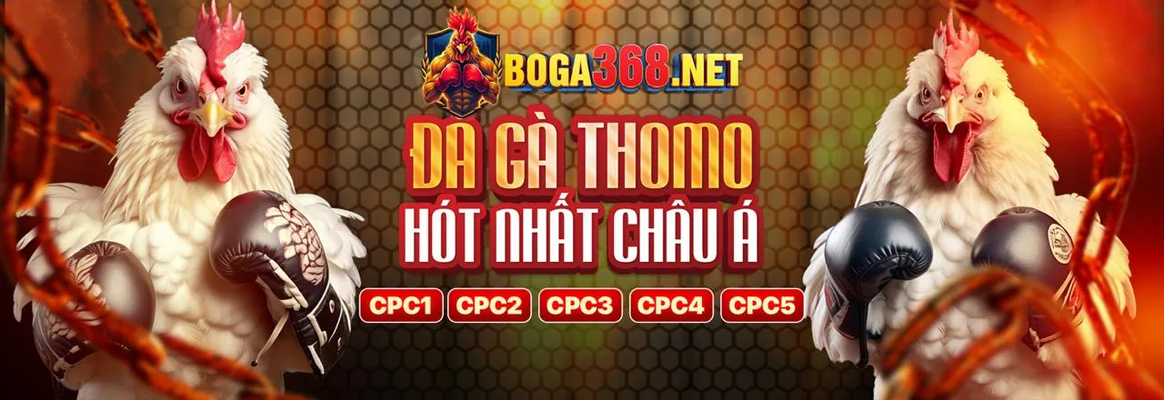 Ưu đãi và khuyến mãi hấp dẫn từ tobet88 win