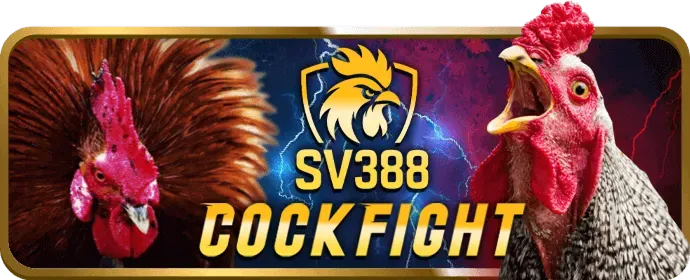 Hình ảnh câu hỏi thường gặp về cá cược an toàn tobet88 win